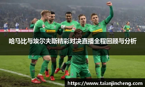 哈马比与埃尔夫斯精彩对决直播全程回顾与分析